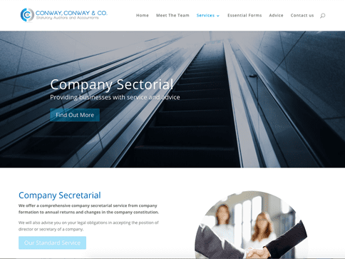 Accountant Website with SEO