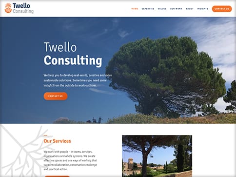Web Design for Consulting Company